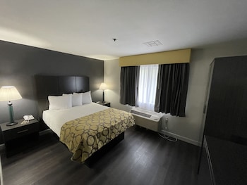 Room, 1 King Bed