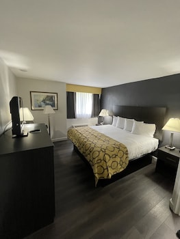 Standard Room, 1 King Bed, Accessible