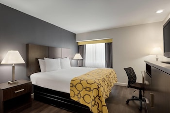 Standard Room, 1 King Bed, Accessible