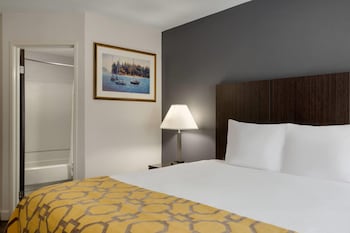 Room, 1 King Bed