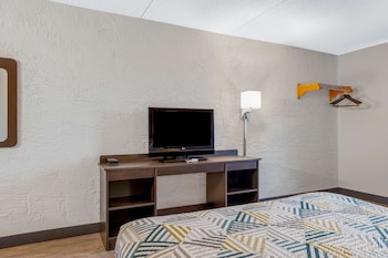 Standard Room, 1 Queen Bed, Non Smoking
