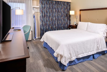 Room, 1 Double Bed, Accessible (Roll-In Shower)