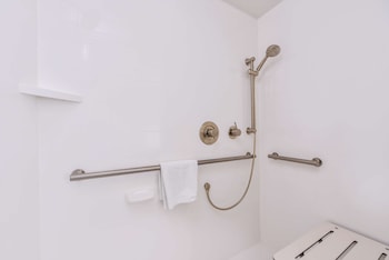 Room, 1 Double Bed, Accessible (Roll-In Shower)