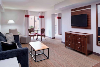 Suite, 1 King Bed with Sofa bed