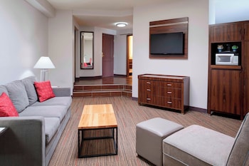 Suite, 1 King Bed with Sofa bed