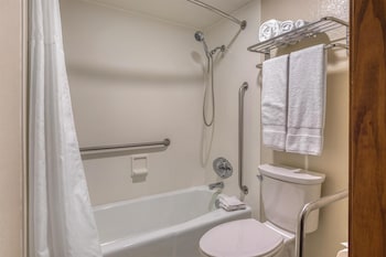 Standard Room, 2 Double Beds, Accessible, Bathtub