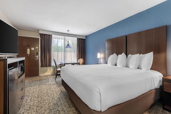 Standard Room, 1 King Bed, Accessible, Bathtub