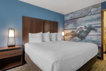 Standard Room, 1 King Bed, Accessible, Bathtub