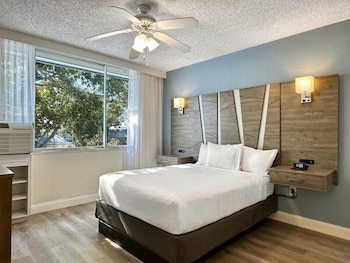 Deluxe Accessible Oasis King