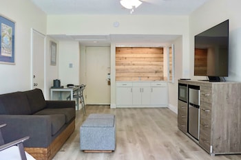 Deluxe Oasis King Suite
