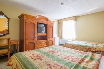 Basic Single Room