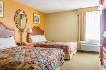Basic Single Room