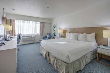 Standard Room, 1 King Bed, Non Smoking