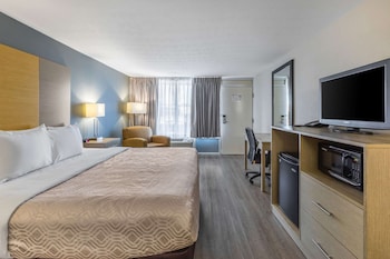 Standard Room, 1 King Bed, Non Smoking