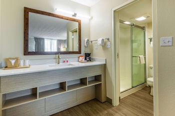 Standard Room, 2 Double Beds, Non Smoking