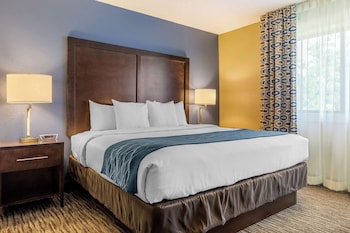 Suite, 1 King Bed with Sofa bed (Wet Bar, Living Room)