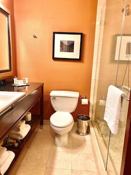 Studio Suite, 1 King Bed