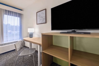 Room, 1 King Bed, Accessible (Mobility, Roll-In Shower)