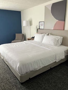 Room, 1 King Bed