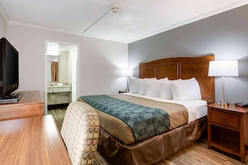 Deluxe Room, 1 King Bed, Non Smoking