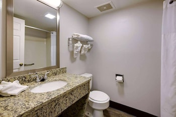 Suite, 1 King Bed, Non Smoking (Efficiency, Roll-In Shower)