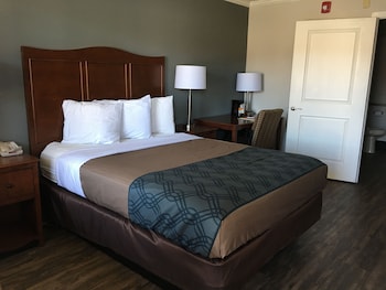 Suite, 1 King Bed, Non Smoking (Efficiency, Roll-In Shower)