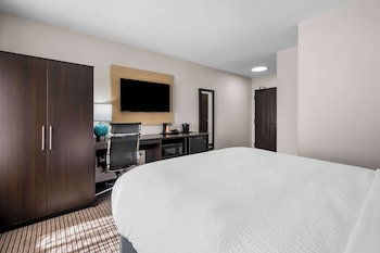 Standard Room, 1 Queen Bed, Accessible, Non Smoking