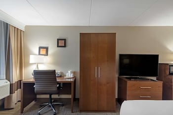 Standard Room, 1 King Bed, Non Smoking