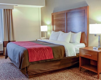 Standard Room, 1 King Bed, Non Smoking