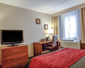 Standard Room, 1 King Bed with Sofa bed, Non Smoking