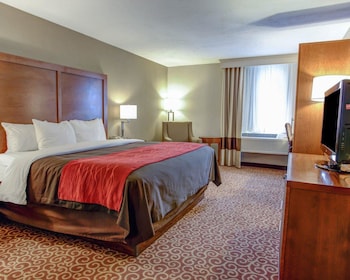 Standard Room, 1 King Bed, Non Smoking