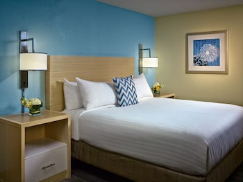 Studio Suite, 1 King Bed