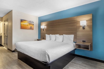 Room, 1 King Bed, Accessible, Non Smoking (Roll-in Shower)