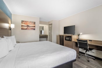 Room, 1 King Bed, Non Smoking