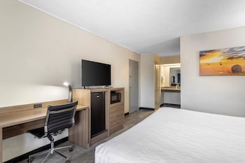 Room, 1 King Bed, Accessible, Non Smoking (Roll-in Shower)