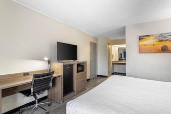 Room, 1 King Bed, Accessible, Non Smoking (Roll-in Shower)