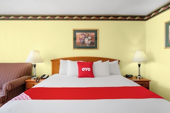 Room, 1 King Bed, Smoking