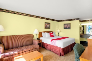 Room, 1 King Bed, Smoking