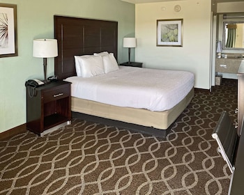 Standard Room, 1 King Bed, Non Smoking