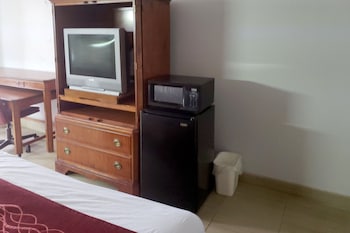 Room, 1 King Bed (NO PETS)