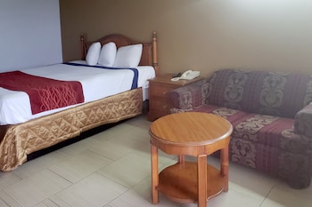 Room, 1 King Bed (NO PETS)