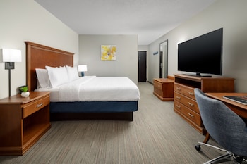 1 King Bed Deluxe Room Non-Smoking