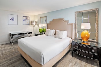 Room, 1 King Bed (ADA)