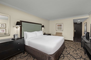 Room, 1 King Bed (Good Vibes)