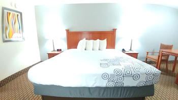 Standard Room, 1 King Bed, Accessible, Bathtub