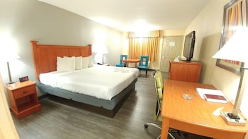 Standard Room, 1 King Bed, Smoking, Refrigerator & Microwave (Pet Friendly)