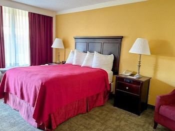 Single Queen Room