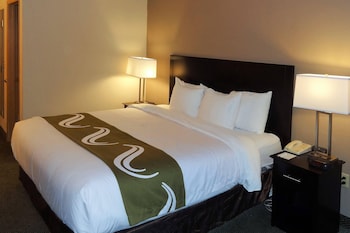 Room, 1 King Bed, Smoking