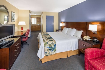 Room, 1 King Bed