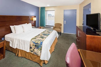 Room, 1 King Bed